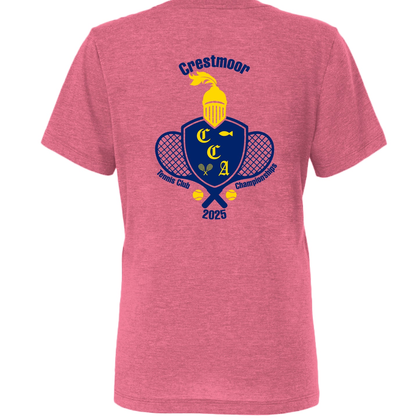 Char Pink Triblend - BACK